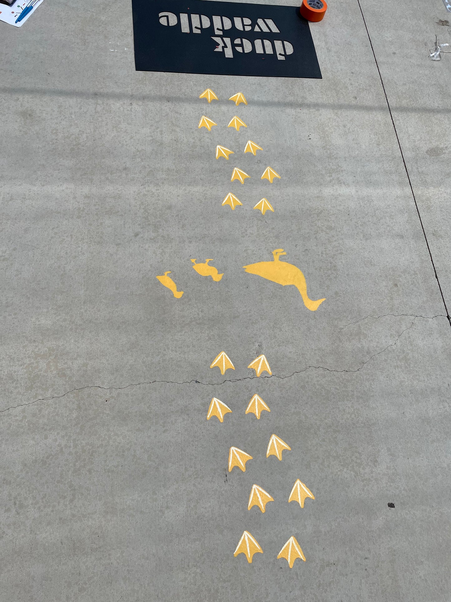 Duck Waddle - Outdoor paint installation