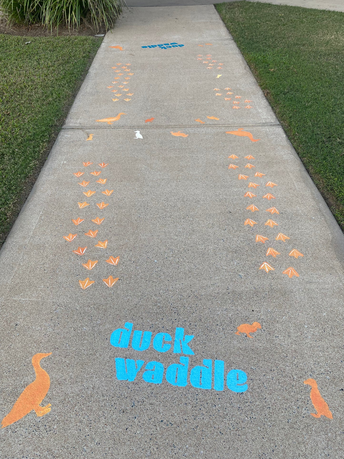 Duck Waddle - Outdoor paint installation