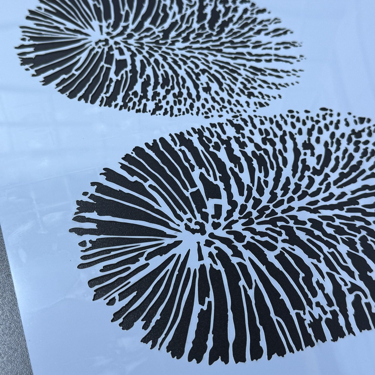 Two Banksia Flowers Stencil by De Gillett Cox (F-BAN-002)