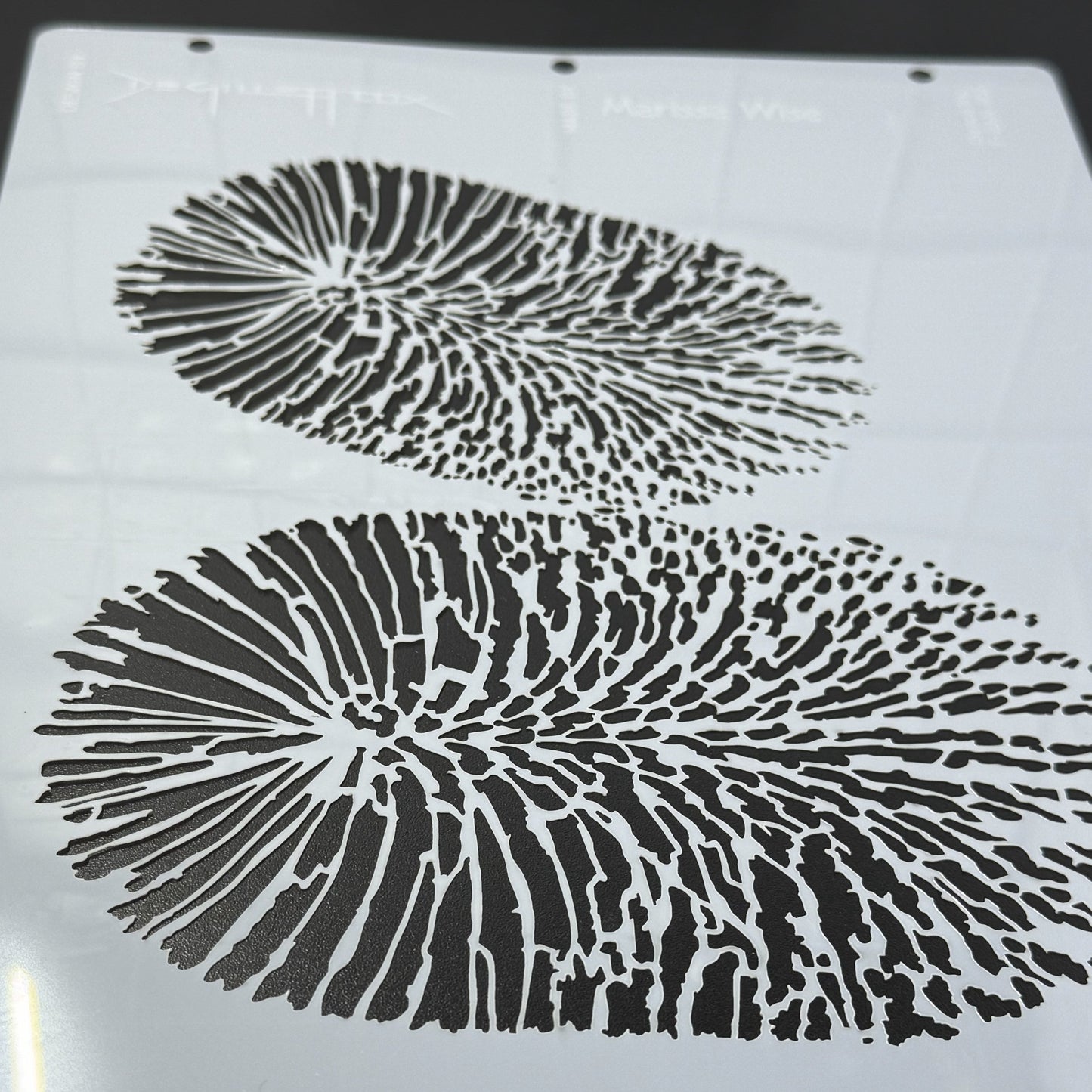 Two Banksia Flowers Stencil by De Gillett Cox (F-BAN-002)